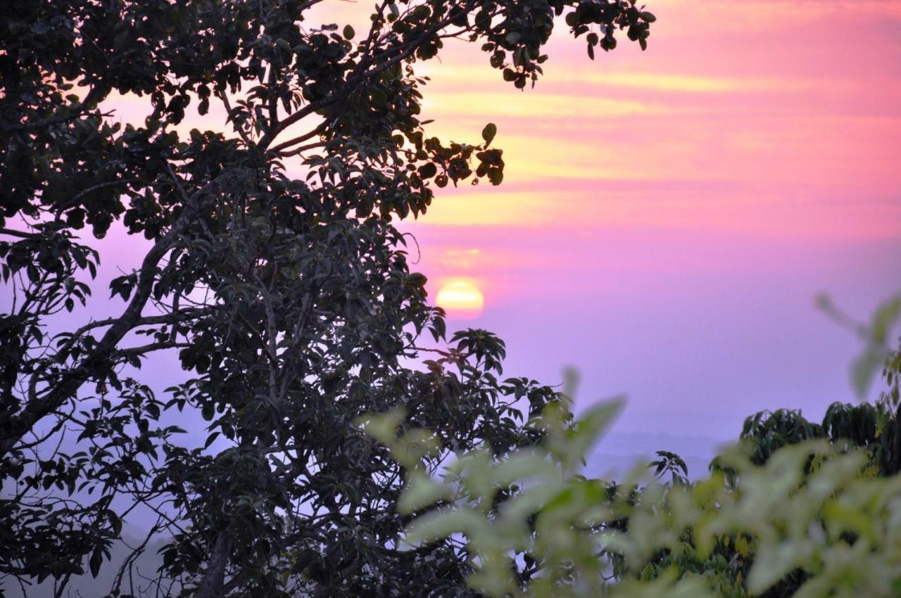 Viewpoint Lodge&Safari Tours Hazyview Extérieur photo